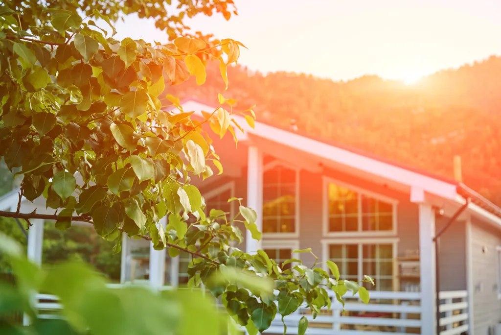 Дом-шале в горах Алтая