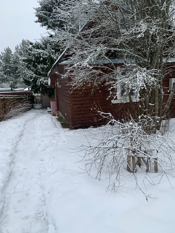 Коттедж Елка