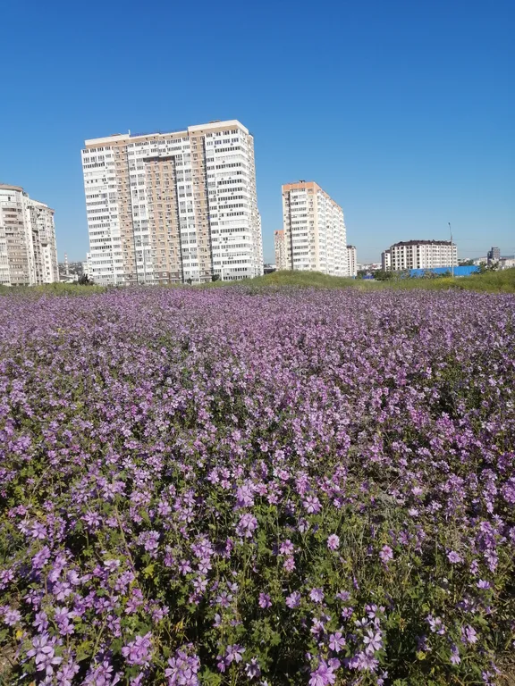 Квартира Квартира у моря рядом с пляжем — Новороссийск