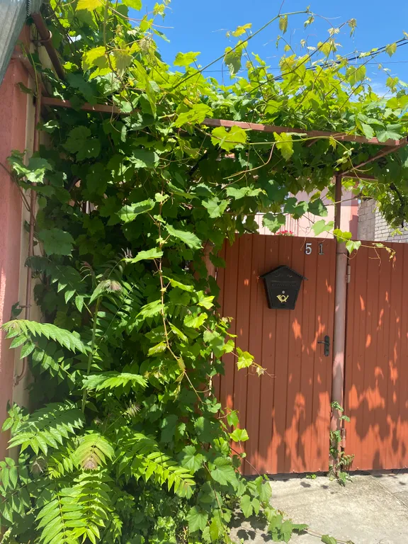 Коттедж Очаровательный дом на Водах — Кисловодск