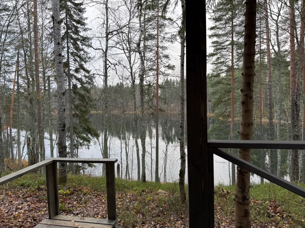 Руна Леса Карелия