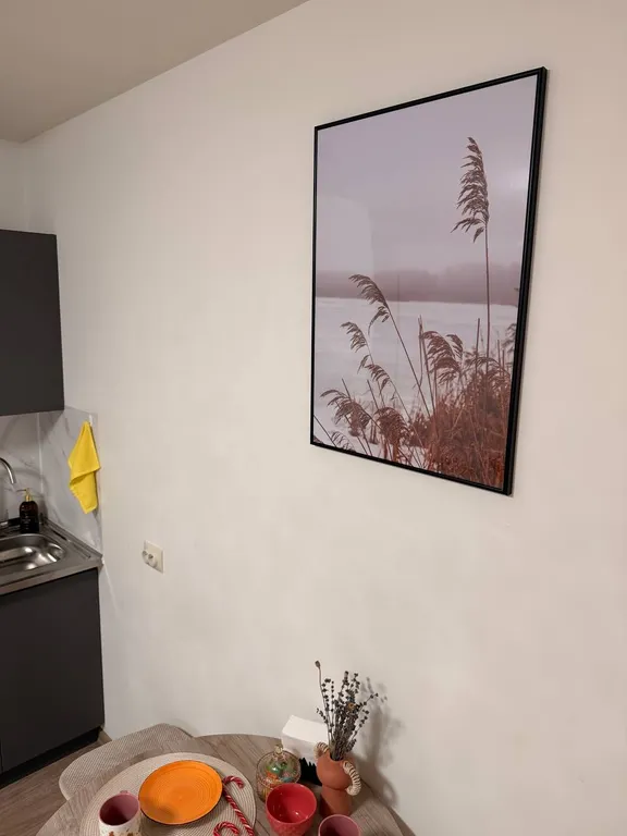 Уютная студия Рощинская 26 с видом на пруд