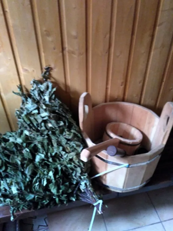 Коттедж Гостевой Дом Ветрово — Сосновка