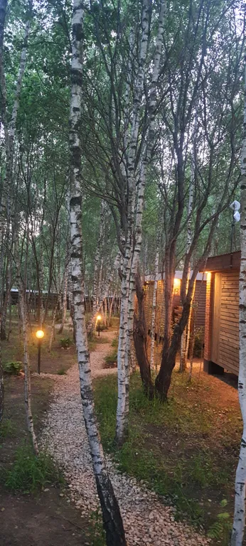 Коттедж Дом (С) с сауной и видом на лес — Воскресенское