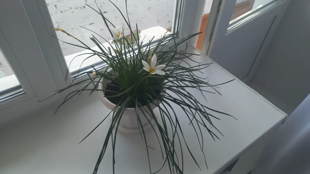 Уютная квартира в тихом районе