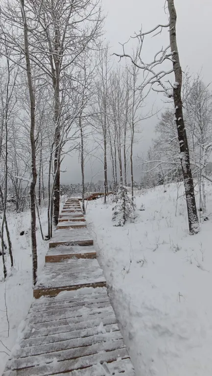 Гостевой дом Kielo