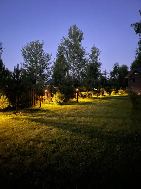 Дом в березах