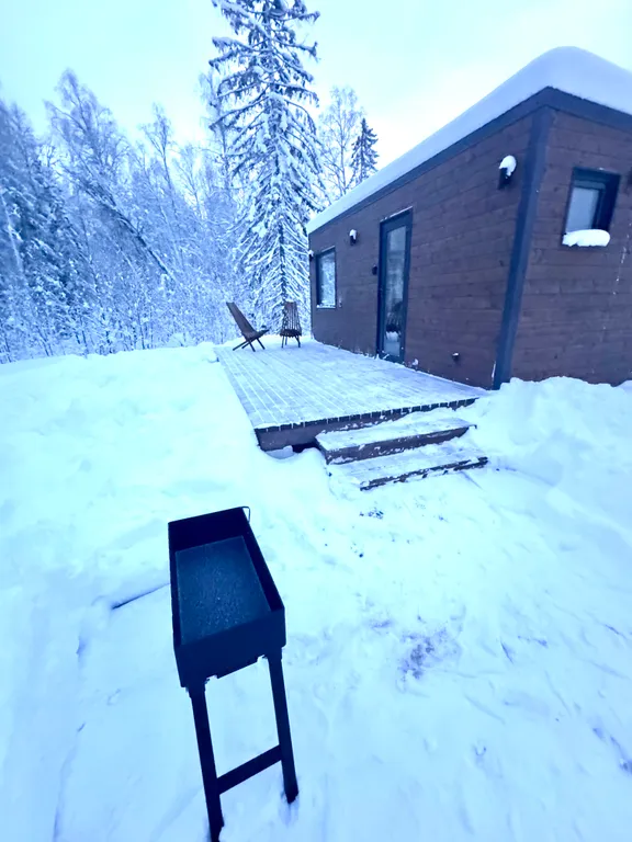 Уютный домик с панорамным окном и видом на лес