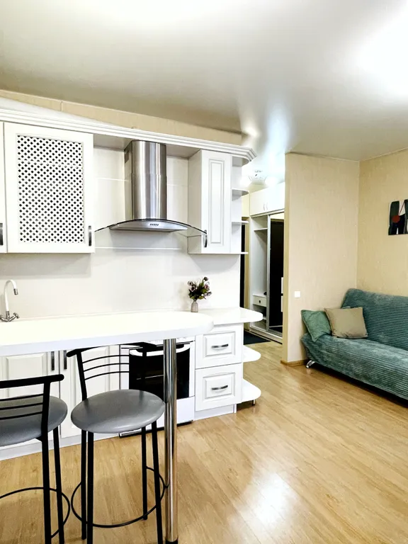 Квартира-студия в центральном парке