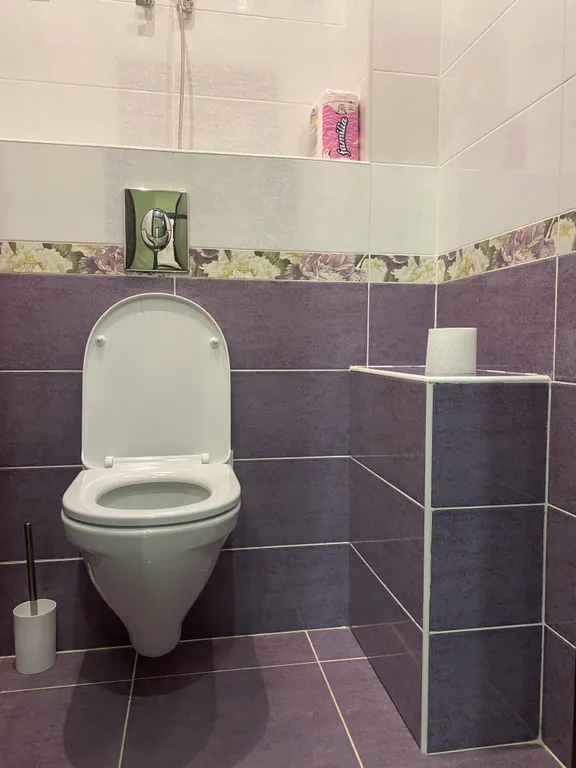 1-комнатная квартира Левый берег