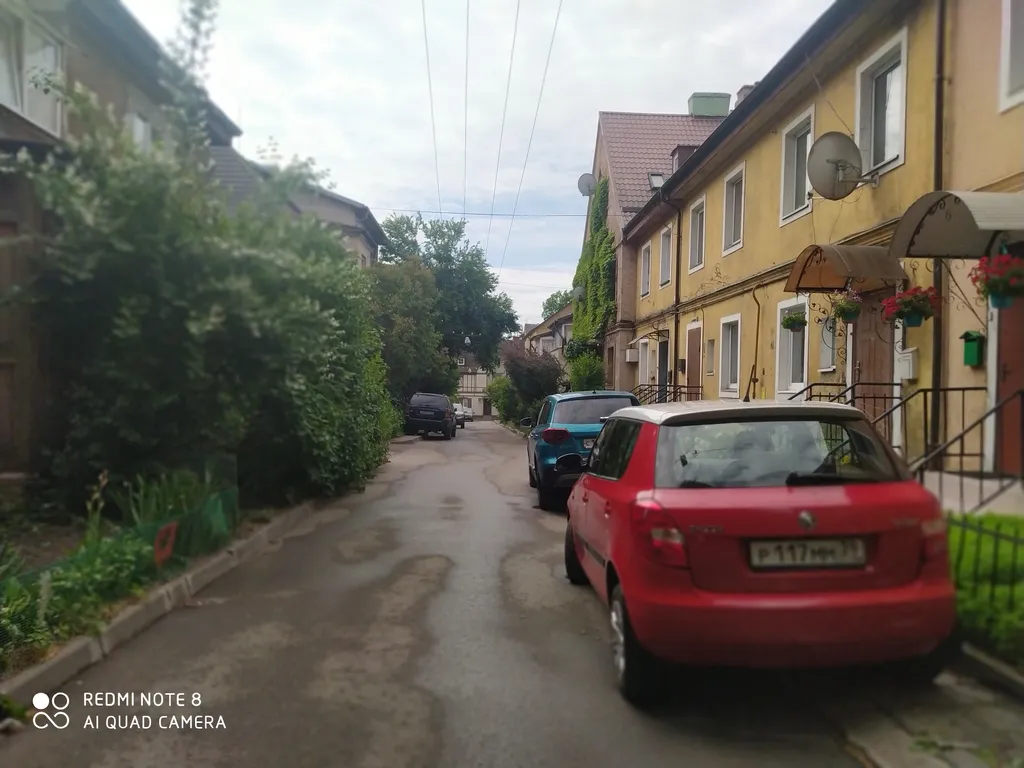 Прусский Кот  (в историческом районе Ratshof на границе с Amalienau)