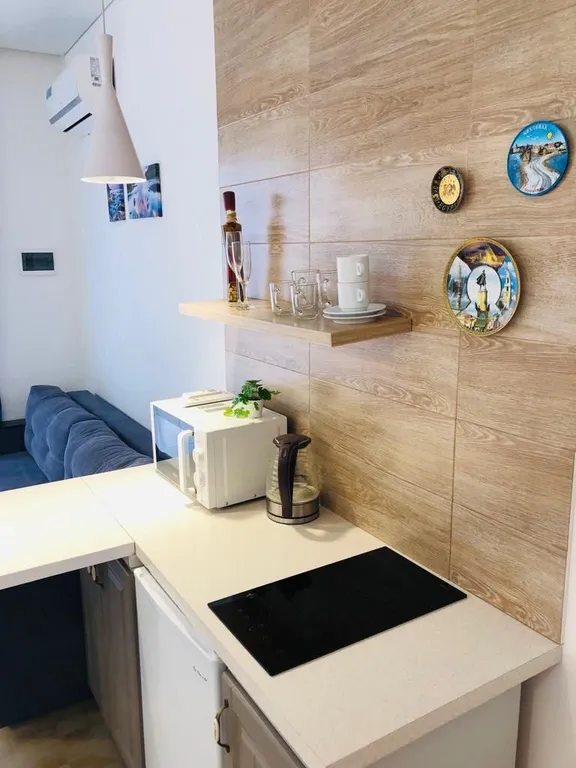 Студия с видом на море и балконом