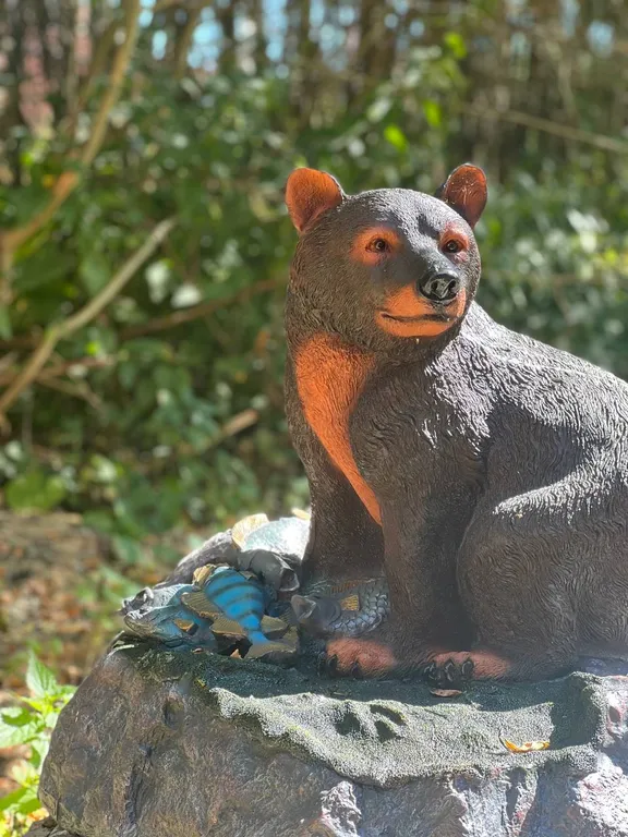 Медвежий угол