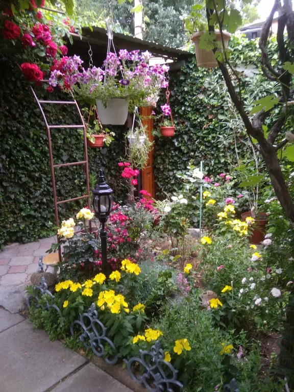 Комната в зелёном дворе