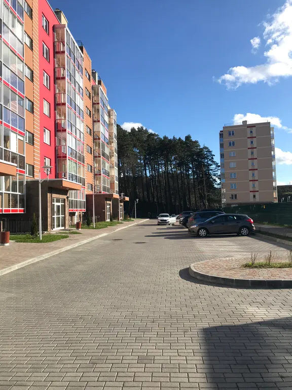 Апартаменты с видом на лес