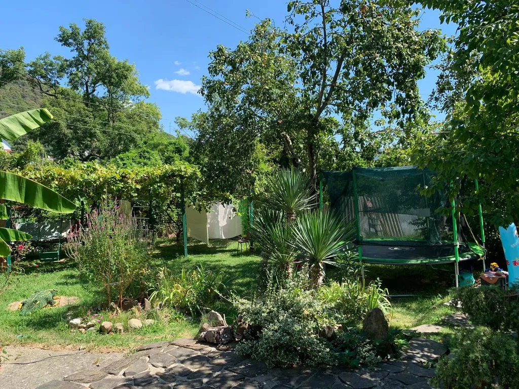 Комната на 2-3 человека в лесной зоне