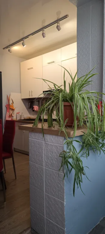 Уютная и теплая квартира в десяти минутах от моря