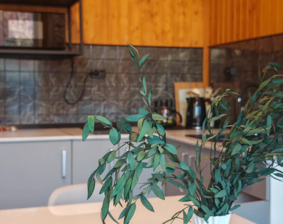 Дом с баней и бассейном