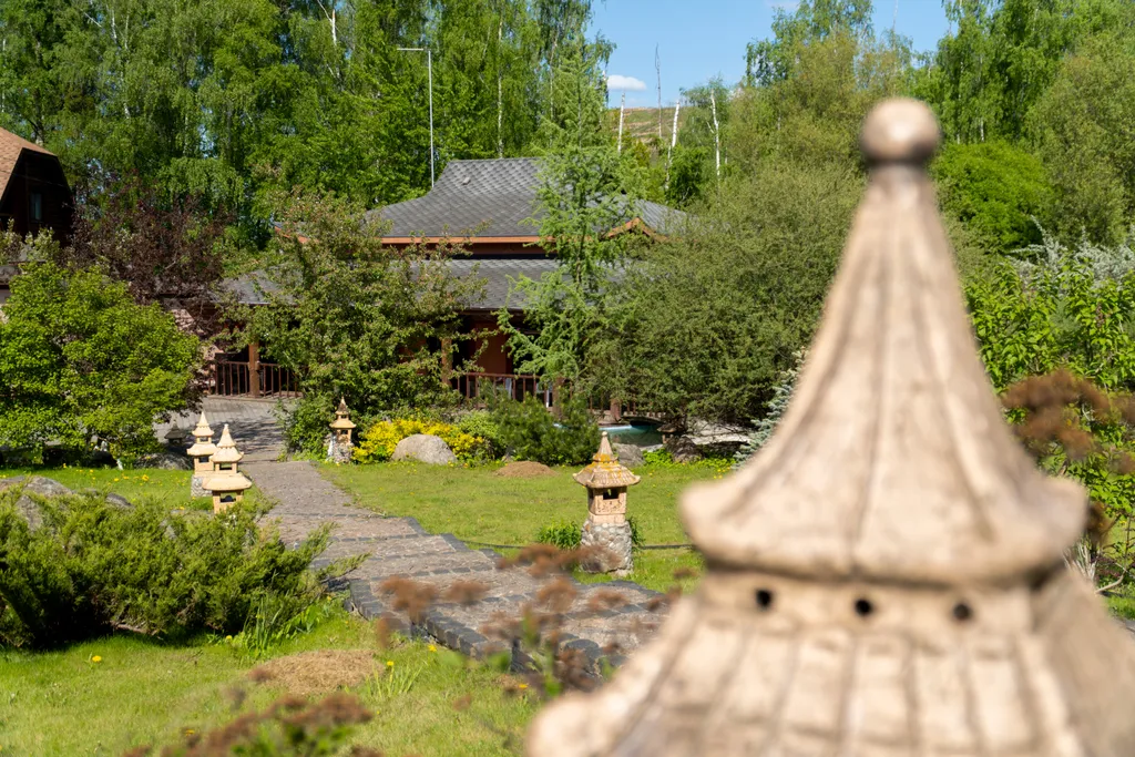 Коттедж Дом на пруду с дровяной сауной и караоке в китайском стиле — Высоково