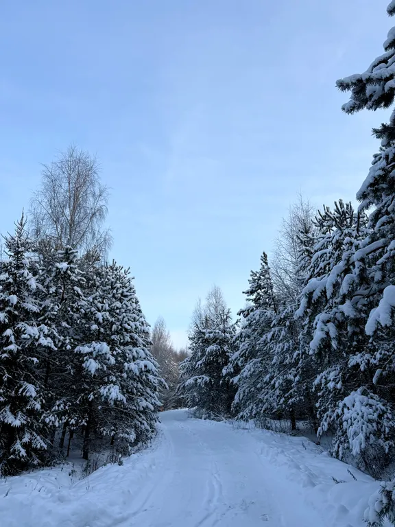 Избушка в лесу, отдельный дом