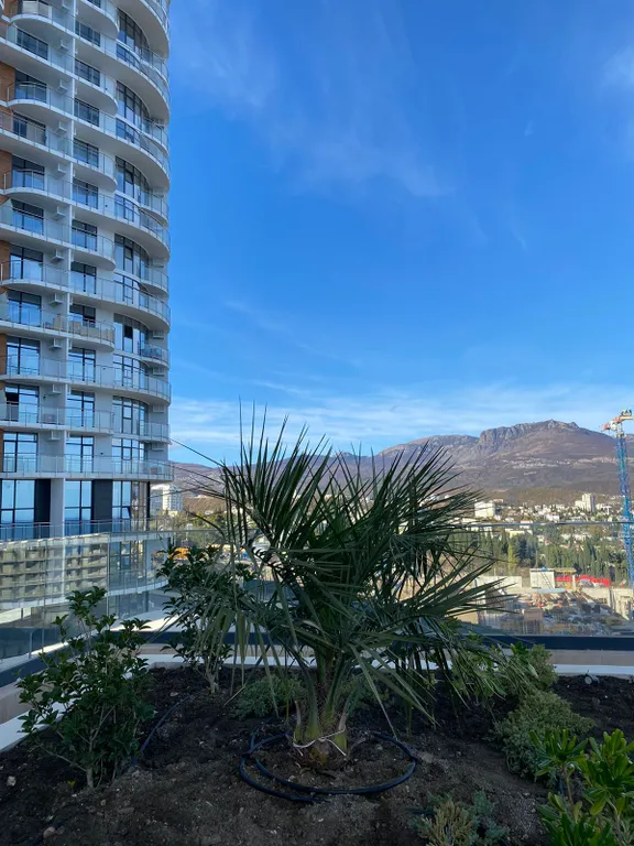 Апартаменты рядом с морем