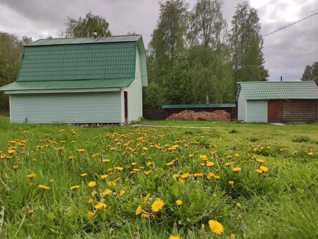 Киви со сливками