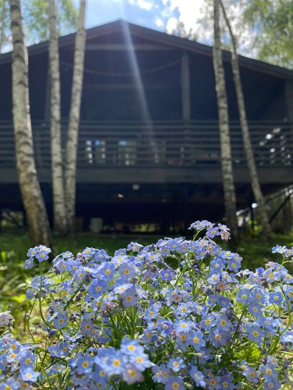 Уютный дом в лесу