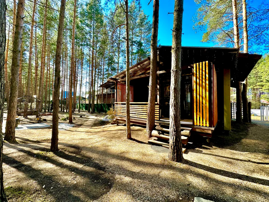 Шале в сосновом бору