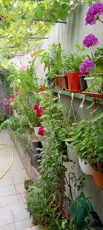 Бунгало уютный домик