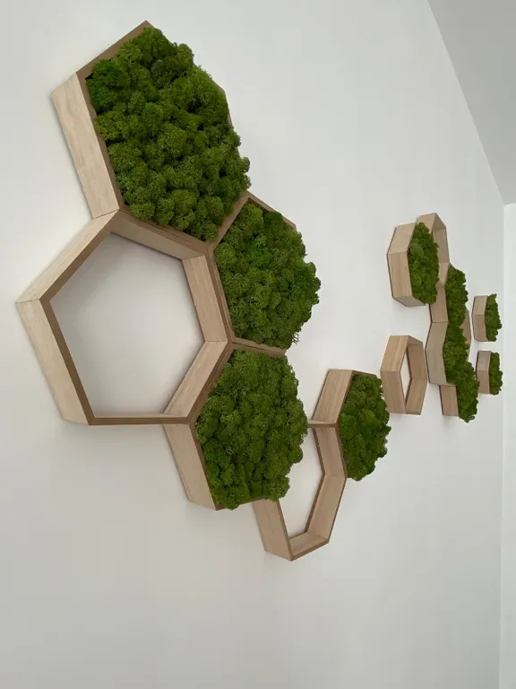 Квартира-студия в самом центре Гомеля