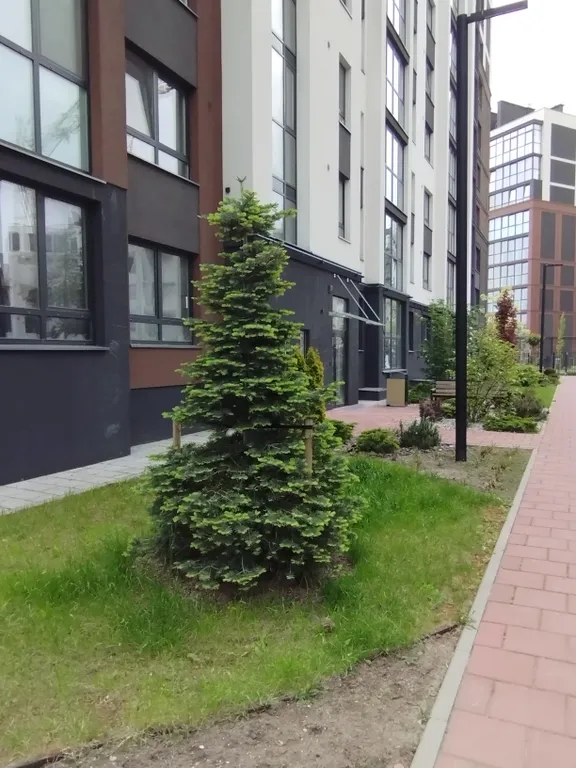 Квартира Новая шикарная квартира с дизайнерским ремонтом в ЖК Невский парк — Калининград