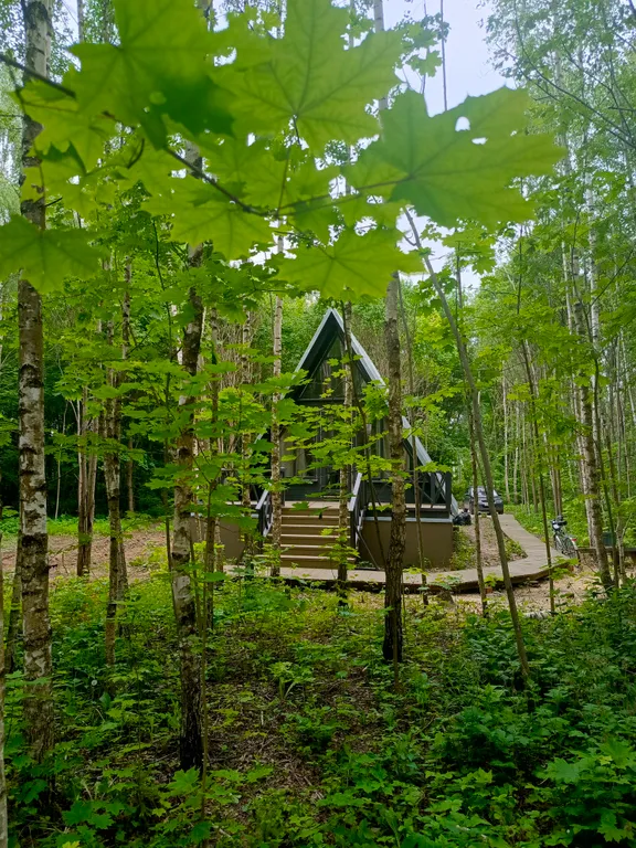 Дом Афрейм в лесу