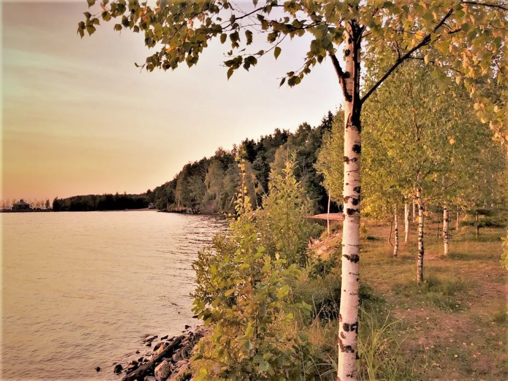 Коттедж Дом в турбазе Чайка, у озера в сосновом бору - Селигерский край — Турбаза Чайка