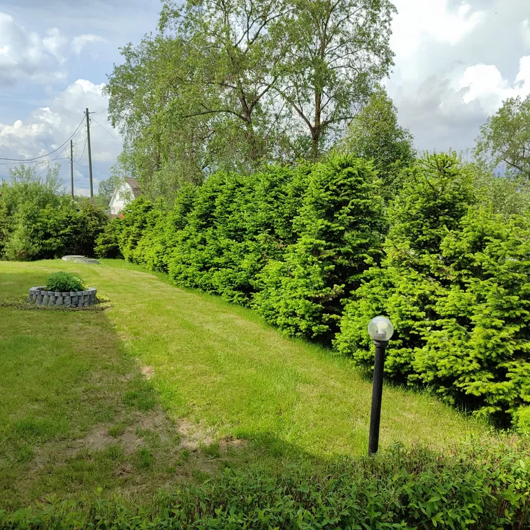 Домик на Полевой