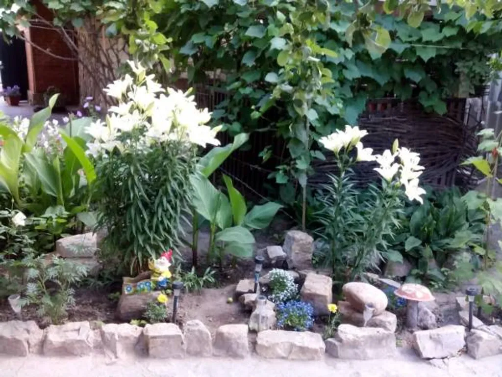 3-комнатный Дом