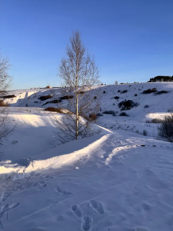 Уединённый домик