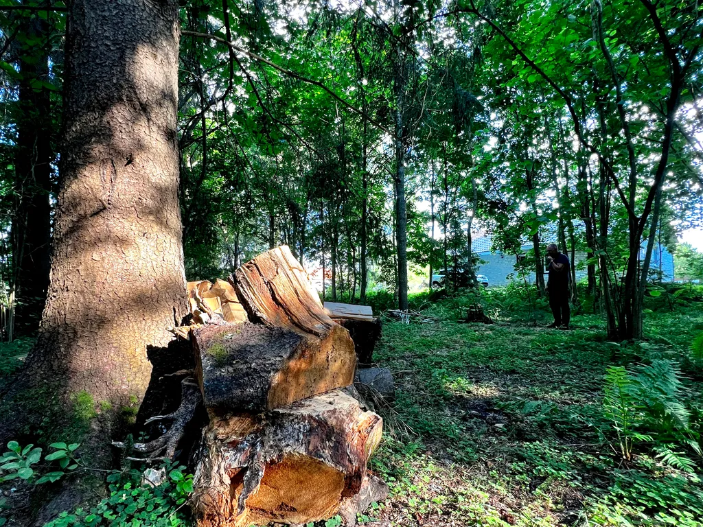 Уютный загородный дом всего в 18 км от Смоленска рядом с трассой М1