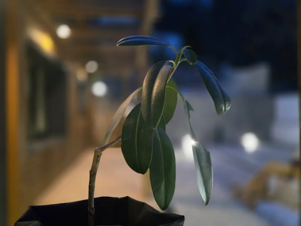 Дом в Кисловодске с авторскими интерьерами на стыке курорта и природы