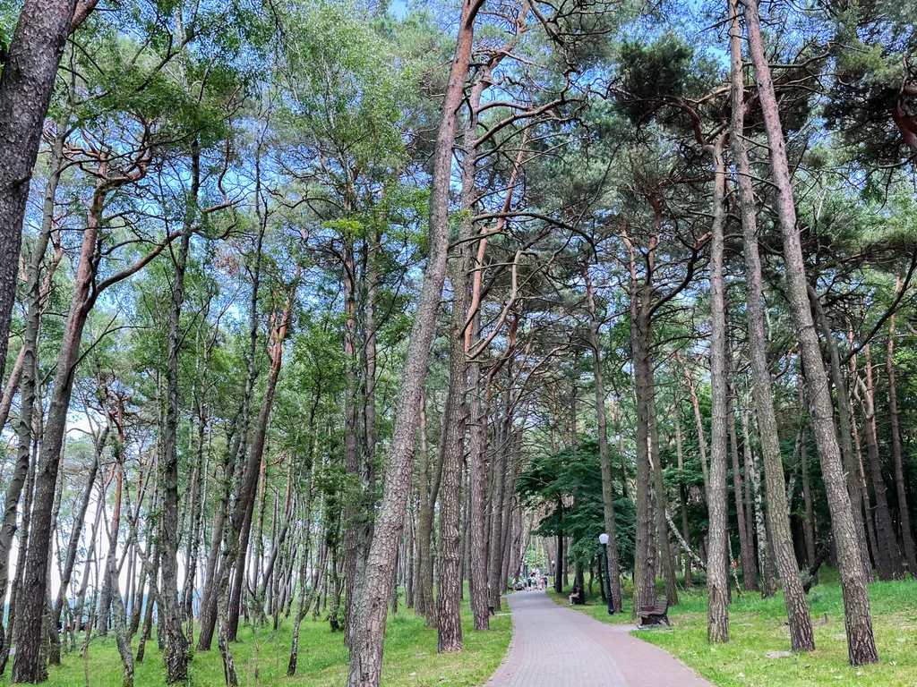 Apartment Studio Villa Park №1