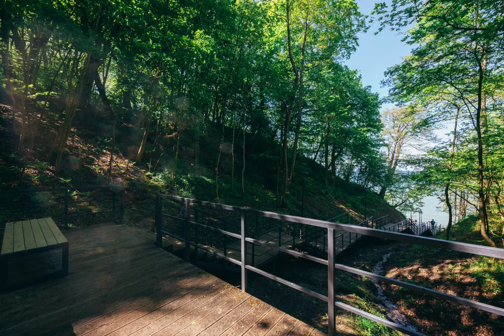 Квартира Апартаменты в парковой зоне — Светлогорск