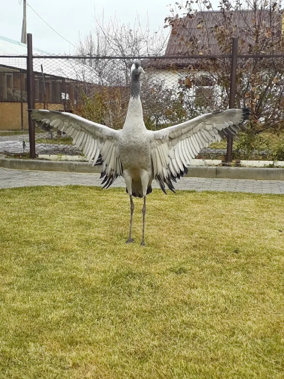 Дом Тропик у озера Увильды