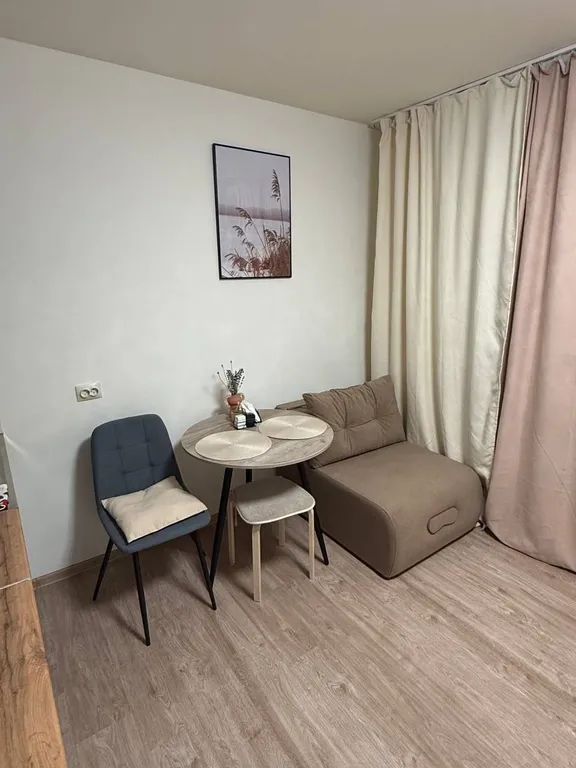 Уютная студия Рощинская 26 с видом на пруд