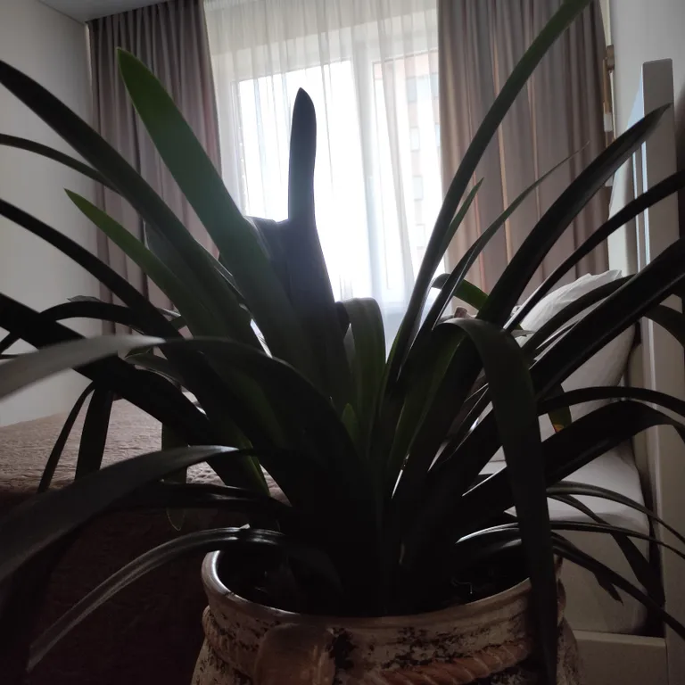 Квартира Уютная квартира в новостройке — Владикавказ