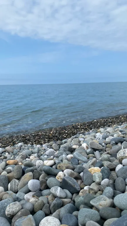 Квартира Квартира у моря с видом на парк — Сириус