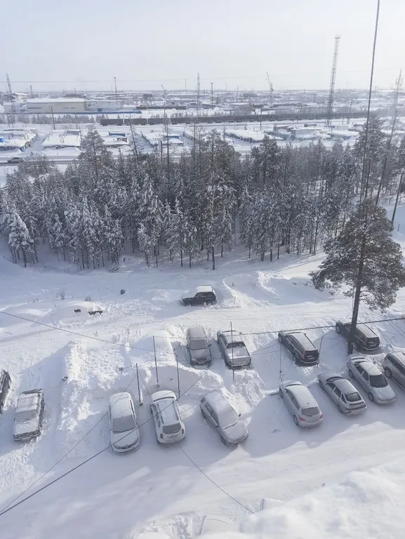 Прекрасные апартаменты в центре города