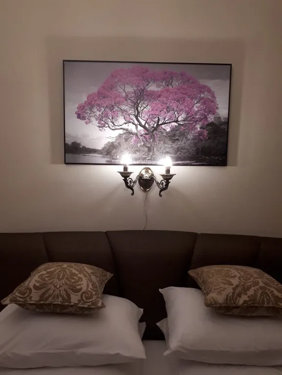 Апартамент Царь - Плотник