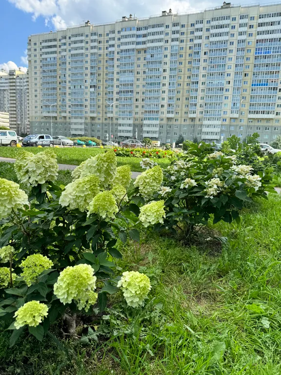 Уютная квартира с видом на Финский залив