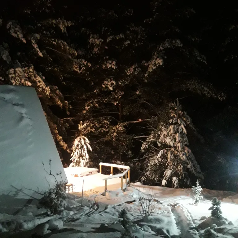 Уютный дом с баней и купелью в сосновом бору