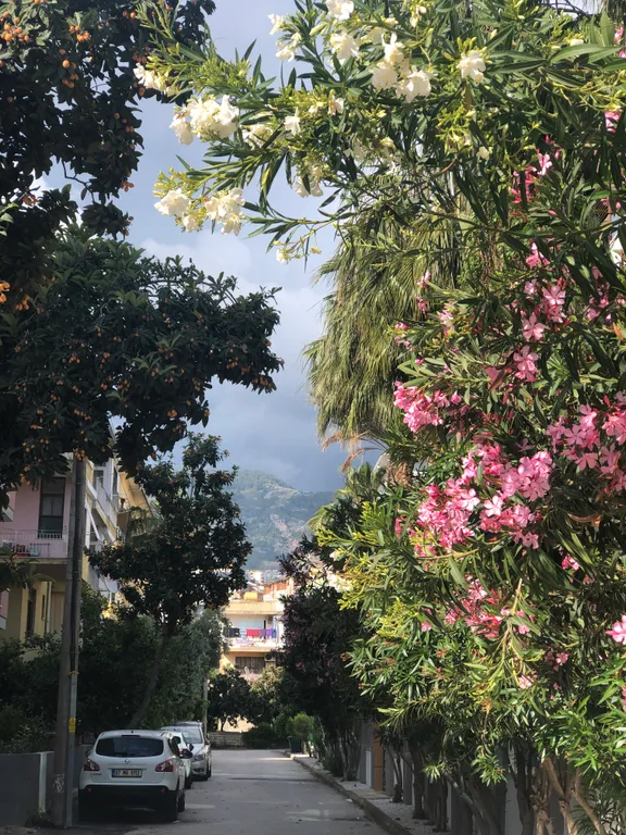 Уютное проживание в 300 м от пляжа Клеопатра