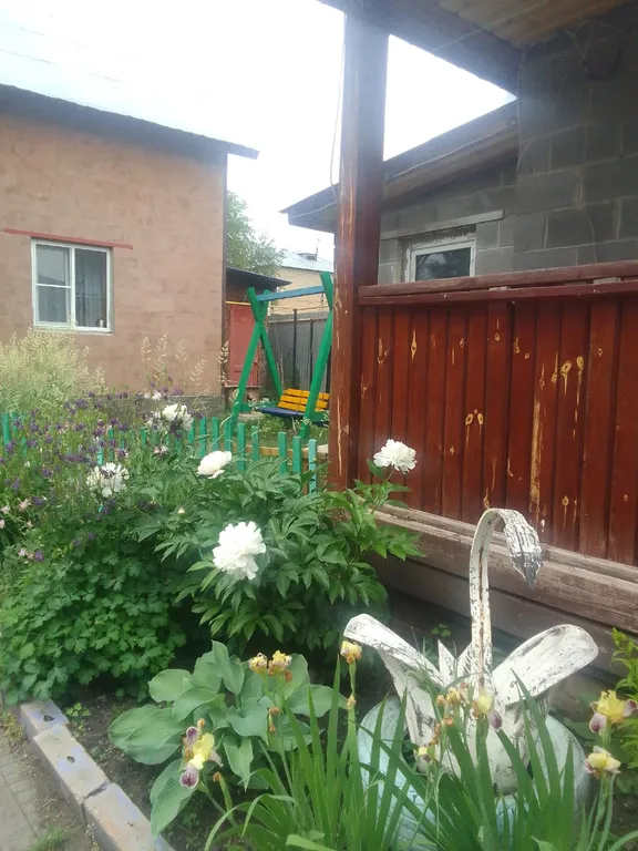 Студия семейная эконом №1